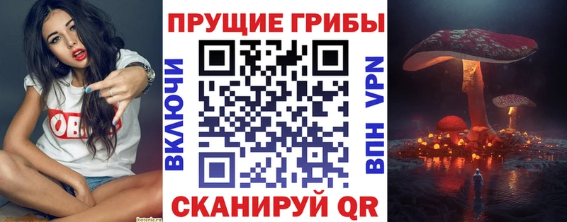 МЕГА tor  Грозный  Псилоцибиновые грибы MAGIC MUSHROOMS 