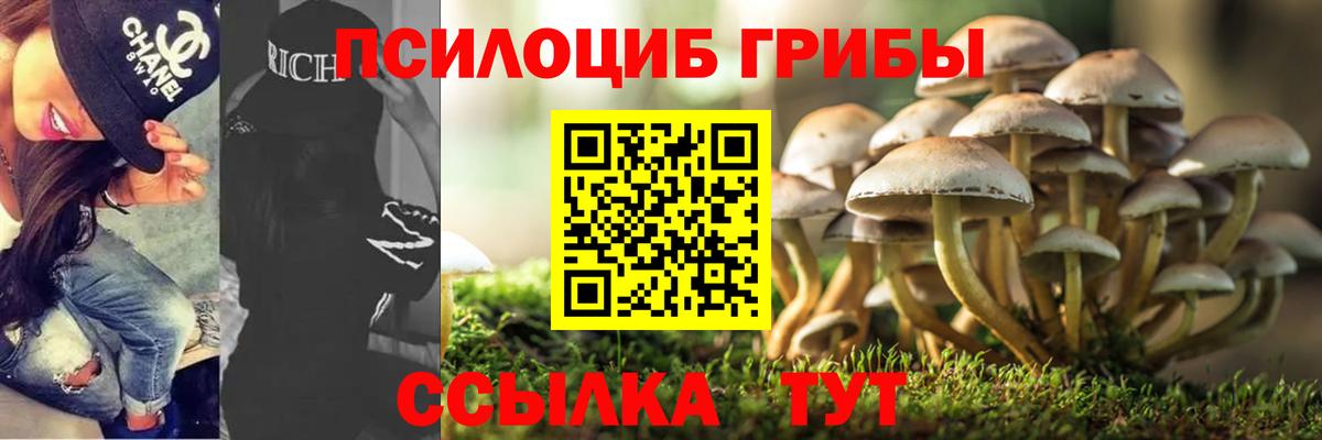 Галлюциногенные грибы Psilocybine cubensis Грозный